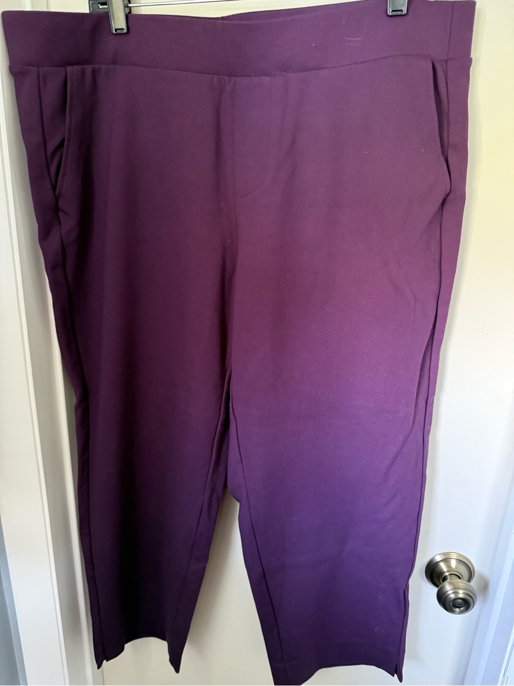 torrid Deep Plum Pull-On Waistband dress capris